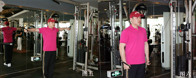 龙门架直臂下拉(前锯肌)